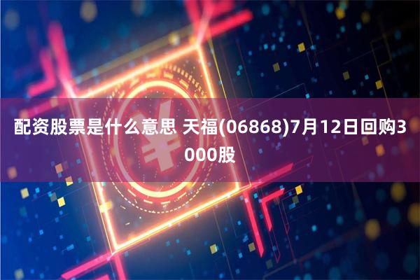 配资股票是什么意思 天福(06868)7月12日回购3000股