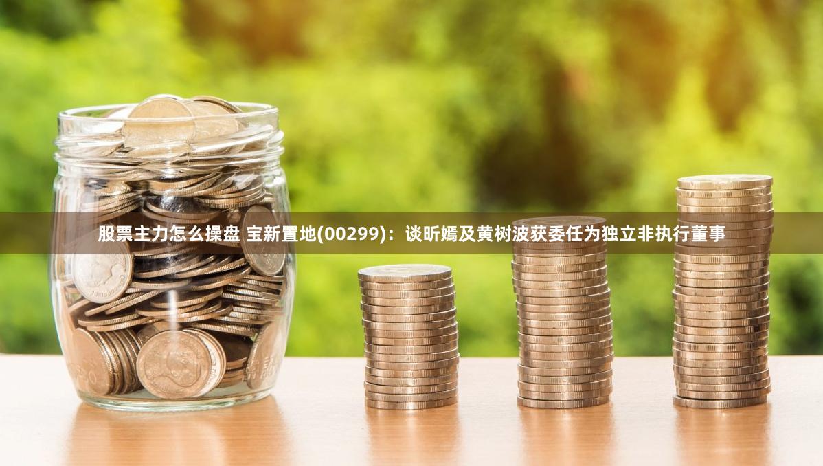 股票主力怎么操盘 宝新置地(00299)：谈昕嫣及黄树波获委任为独立非执行董事