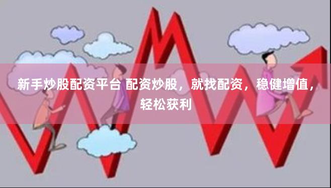 新手炒股配资平台 配资炒股，就找配资，稳健增值，轻松获利