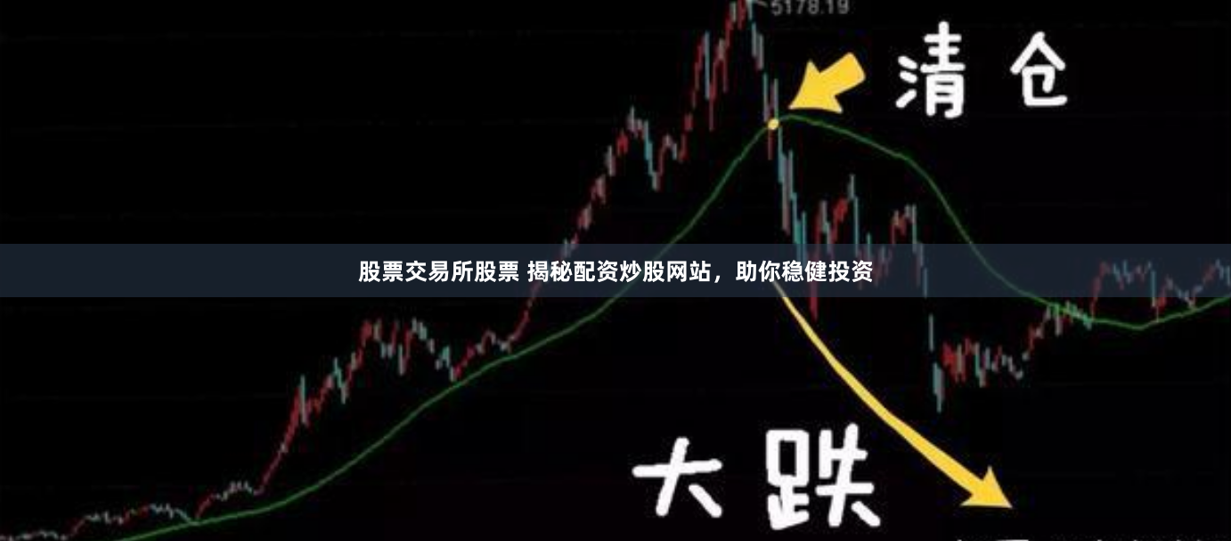 股票交易所股票 揭秘配资炒股网站，助你稳健投资