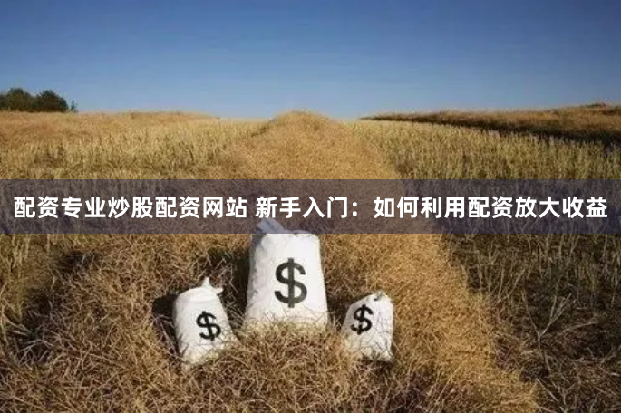 配资专业炒股配资网站 新手入门：如何利用配资放大收益