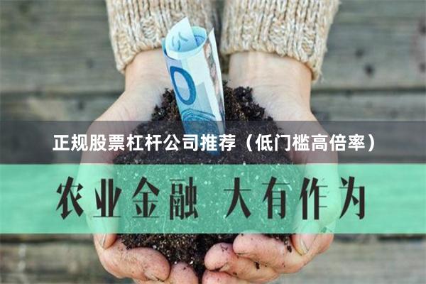 正规股票杠杆公司推荐（低门槛高倍率）