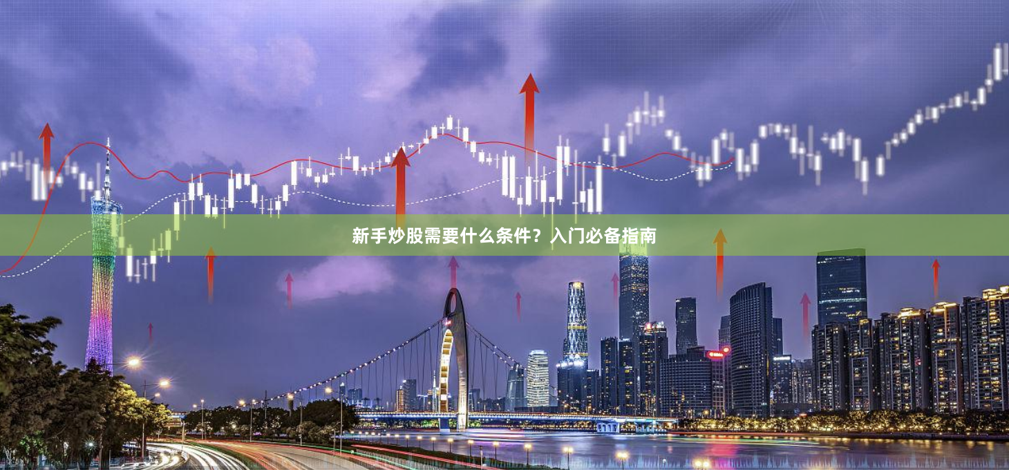 新手炒股需要什么条件？入门必备指南