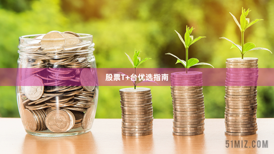 股票T+台优选指南